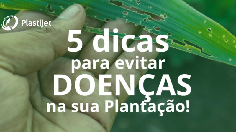 5 DICAS PARA EVITAR DOENÇAS NA SUA PLANTAÇÃO!