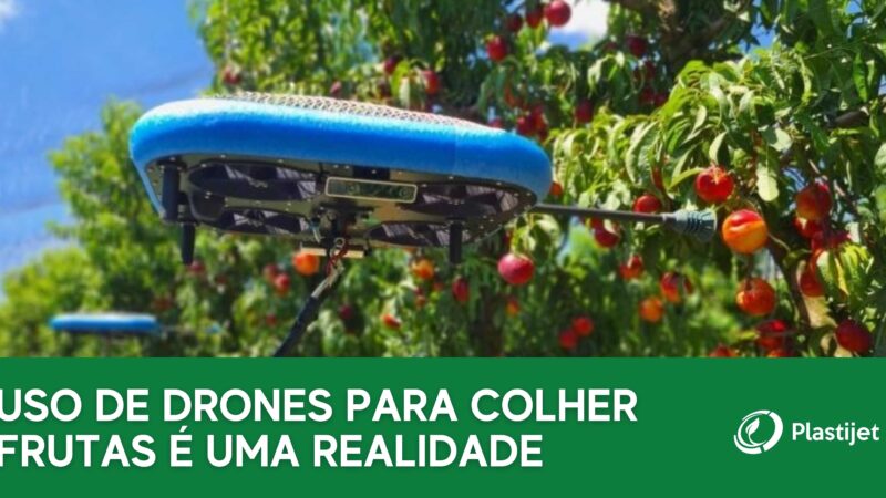USO DE DRONES PARA COLHER FRUTAS É UMA REALIDADE