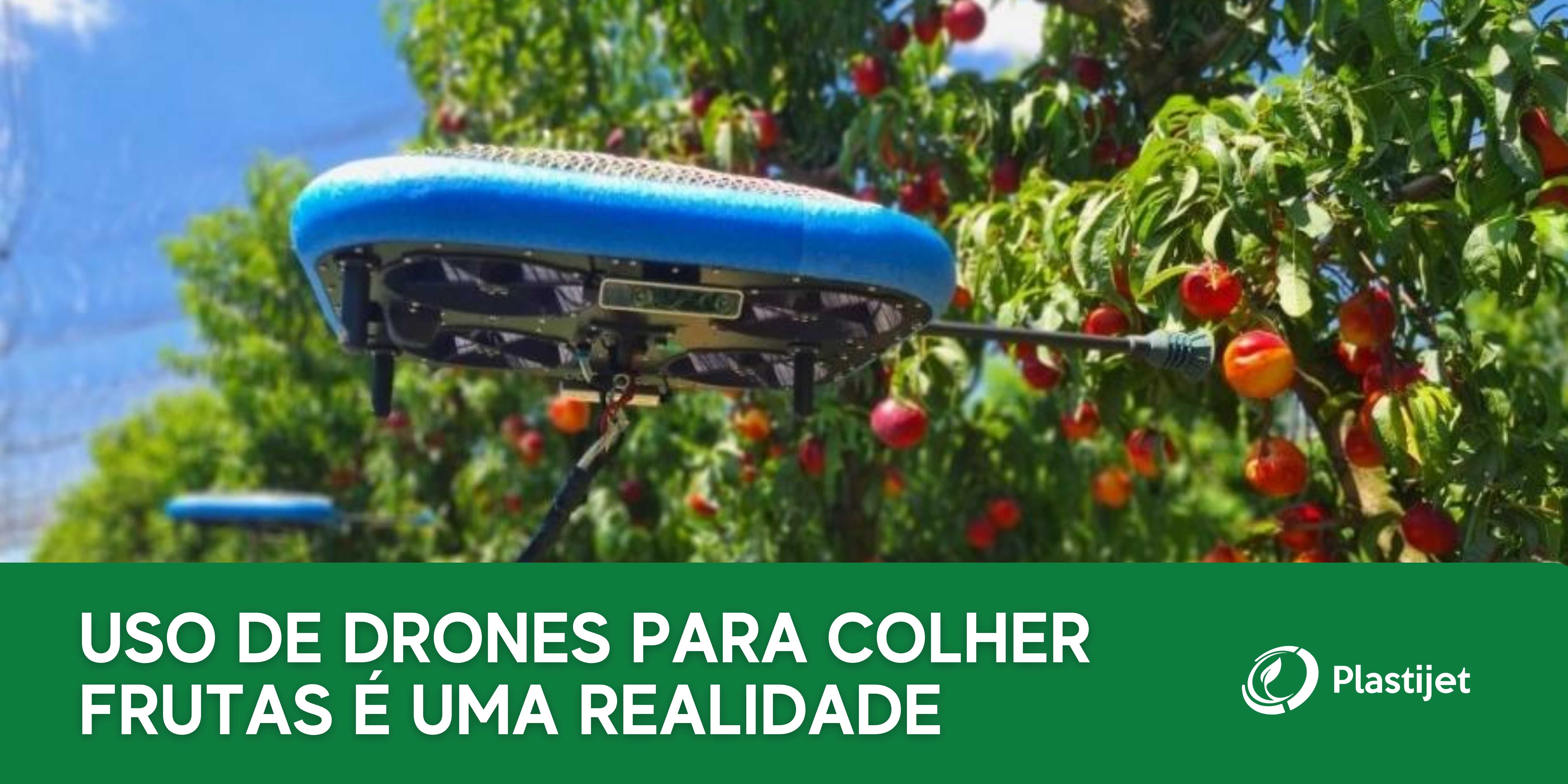 USO DE DRONES PARA COLHER FRUTAS É UMA REALIDADE