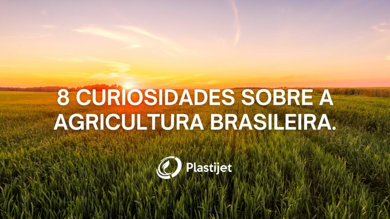 8 curiosidades sobre a Agricultura brasileira.