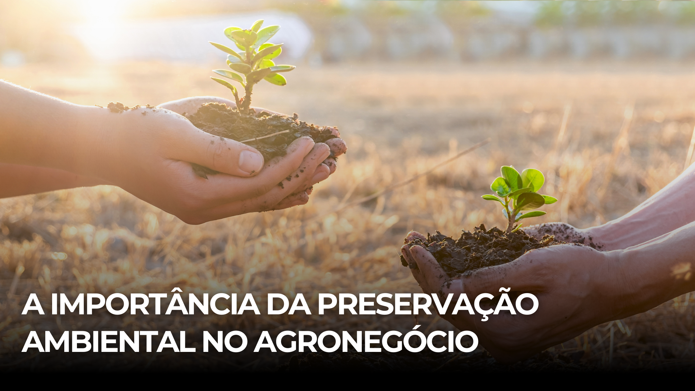 A Importância da Preservação Ambiental no Agronegócio
