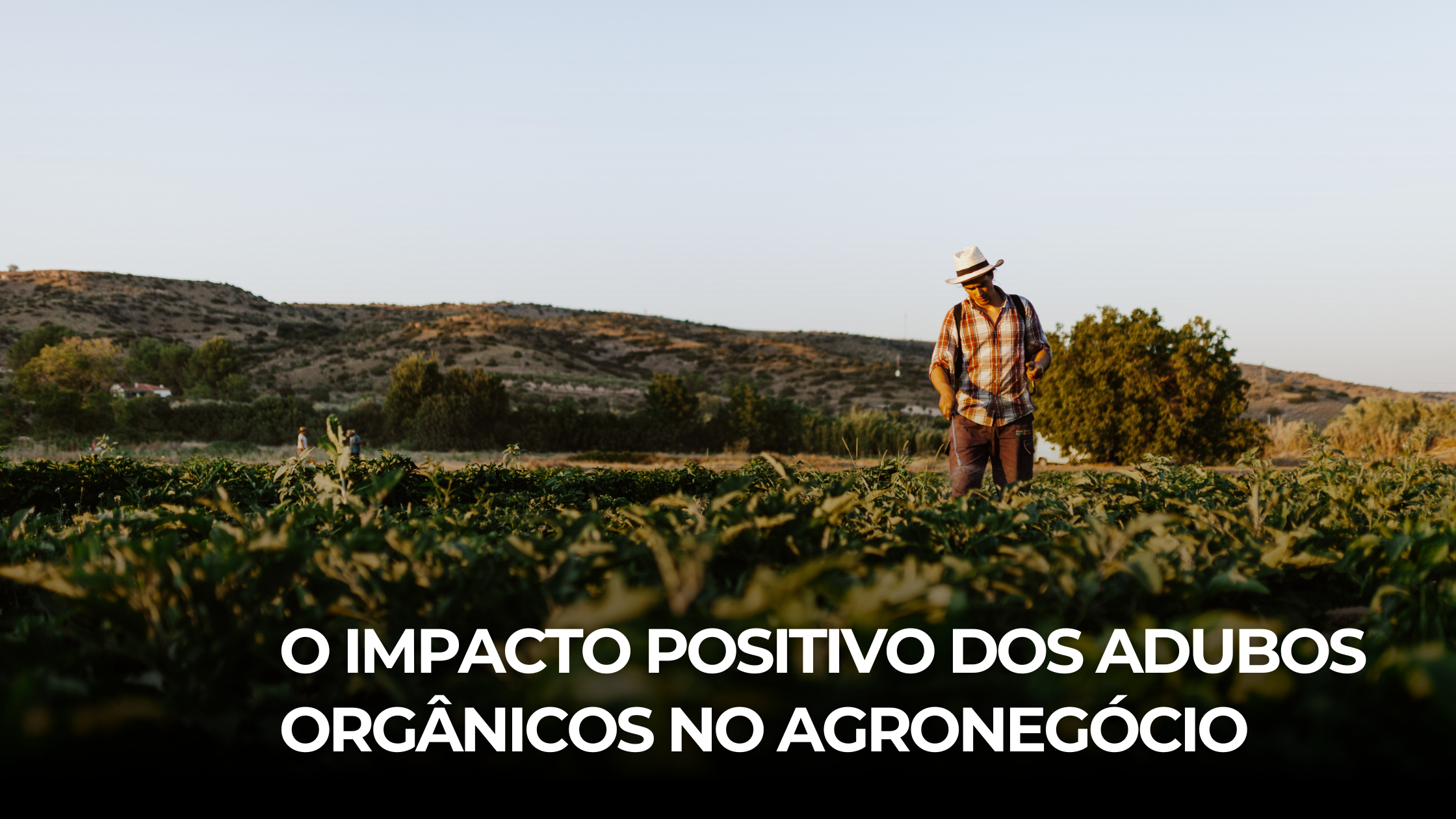 O Impacto Positivo dos Adubos Orgânicos no Agronegócio