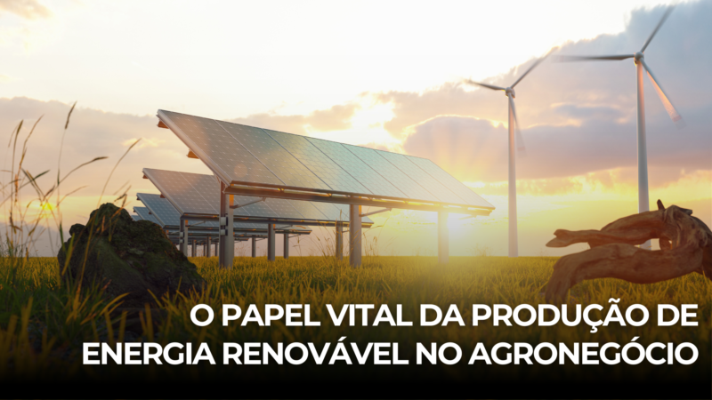 O Papel Vital da Produção de Energia Renovável no Agronegócio